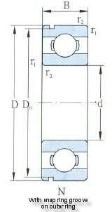 D55-160mm Kanthi Snap Groove & Snap Ring On Outer Ring