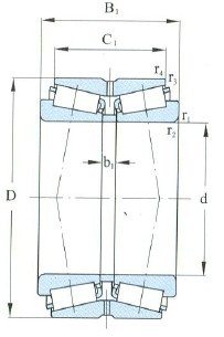 Bantalan Rol Tirus Baris Ganda D 25-120mm