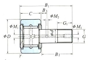 Pengikut Cam