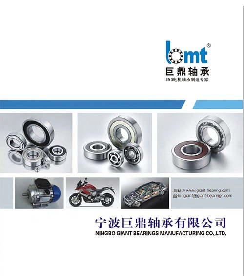 Gaint catalog